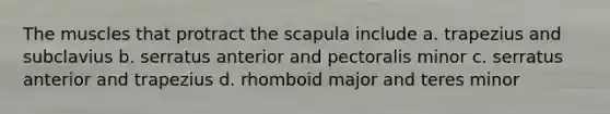 The muscles that protract the scapula include a. trapezius and subclavius b. serratus anterior and pectoralis minor c. serratus anterior and trapezius d. rhomboid major and teres minor