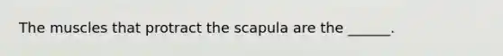 The muscles that protract the scapula are the ______.