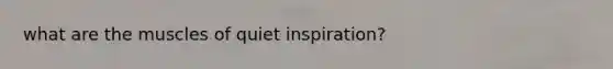 what are the muscles of quiet inspiration?