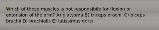 Which of these muscles is not responsibile for flexion or extension of the arm? A) platysma B) triceps brachii C) biceps brachii D) brachialis E) latissimus dorsi