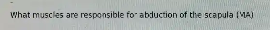 What muscles are responsible for abduction of the scapula (MA)