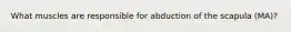 What muscles are responsible for abduction of the scapula (MA)?