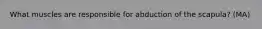 What muscles are responsible for abduction of the scapula? (MA)