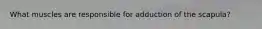 What muscles are responsible for adduction of the scapula?