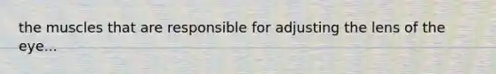 the muscles that are responsible for adjusting the lens of the eye...