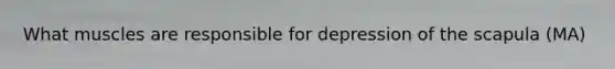 What muscles are responsible for depression of the scapula (MA)