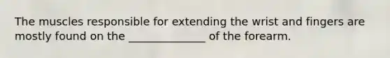 The muscles responsible for extending the wrist and fingers are mostly found on the ______________ of the forearm.