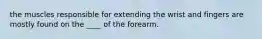 the muscles responsible for extending the wrist and fingers are mostly found on the ____ of the forearm.