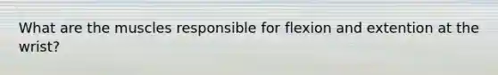 What are the muscles responsible for flexion and extention at the wrist?