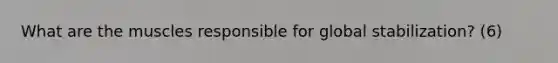 What are the muscles responsible for global stabilization? (6)