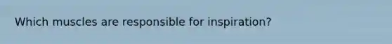 Which muscles are responsible for inspiration?