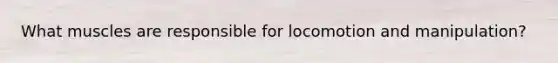 What muscles are responsible for locomotion and manipulation?