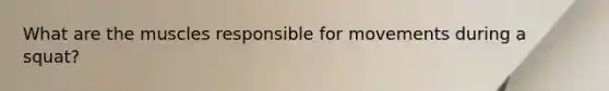 What are the muscles responsible for movements during a squat?