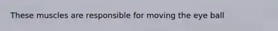 These muscles are responsible for moving the eye ball