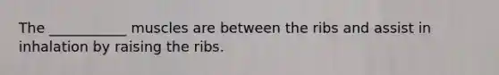 The ___________ muscles are between the ribs and assist in inhalation by raising the ribs.