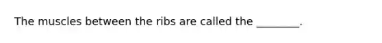 The muscles between the ribs are called the ________.