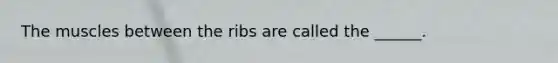 The muscles between the ribs are called the ______.