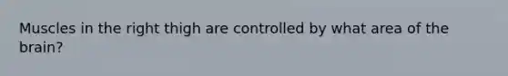 Muscles in the right thigh are controlled by what area of the brain?
