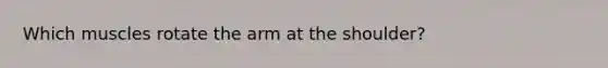 Which muscles rotate the arm at the shoulder?