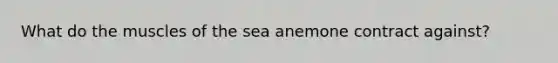 What do the muscles of the sea anemone contract against?