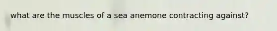 what are the muscles of a sea anemone contracting against?
