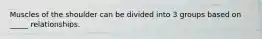 Muscles of the shoulder can be divided into 3 groups based on _____ relationships.
