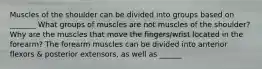 Muscles of the shoulder can be divided into groups based on _______ What groups of muscles are not muscles of the shoulder? Why are the muscles that move the fingers/wrist located in the forearm? The forearm muscles can be divided into anterior flexors & posterior extensors, as well as ______