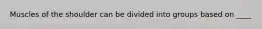 Muscles of the shoulder can be divided into groups based on ____