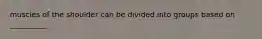 muscles of the shoulder can be divided into groups based on __________.