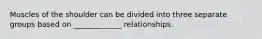 Muscles of the shoulder can be divided into three separate groups based on _____________ relationships.