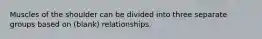 Muscles of the shoulder can be divided into three separate groups based on (blank) relationships.