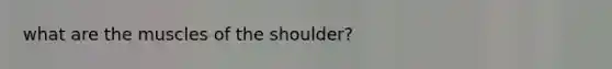 what are the muscles of the shoulder?