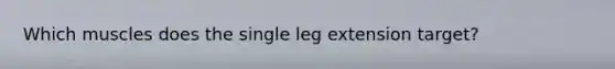 Which muscles does the single leg extension target?