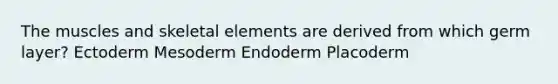 The muscles and skeletal elements are derived from which germ layer? Ectoderm Mesoderm Endoderm Placoderm