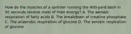 How do the muscles of a sprinter running the 400-yard dash in 50 seconds receive most of their energy? A. The aerobic respiration of fatty acids B. The breakdown of creatine phosphate C. The anaerobic respiration of glucose D. The aerobic respiration of glucose