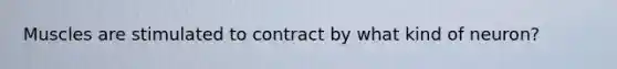 Muscles are stimulated to contract by what kind of neuron?