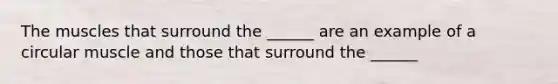 The muscles that surround the ______ are an example of a circular muscle and those that surround the ______