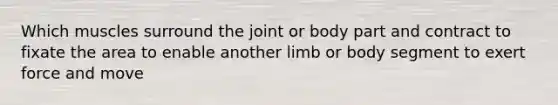 Which muscles surround the joint or body part and contract to fixate the area to enable another limb or body segment to exert force and move