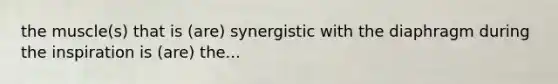 the muscle(s) that is (are) synergistic with the diaphragm during the inspiration is (are) the...