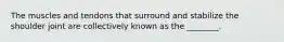 The muscles and tendons that surround and stabilize the shoulder joint are collectively known as the ________.