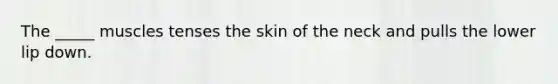 The _____ muscles tenses the skin of the neck and pulls the lower lip down.