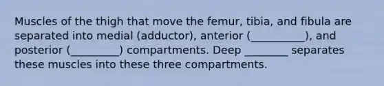 Muscles of the thigh that move the femur, tibia, and fibula are separated into medial (adductor), anterior (__________), and posterior (_________) compartments. Deep ________ separates these muscles into these three compartments.