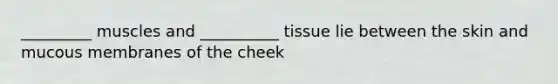 _________ muscles and __________ tissue lie between the skin and mucous membranes of the cheek