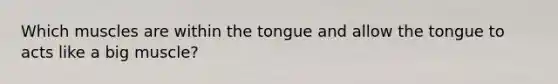 Which muscles are within the tongue and allow the tongue to acts like a big muscle?