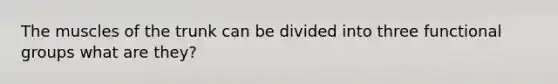 The muscles of the trunk can be divided into three functional groups what are they?