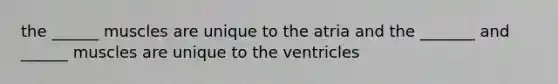 the ______ muscles are unique to the atria and the _______ and ______ muscles are unique to the ventricles