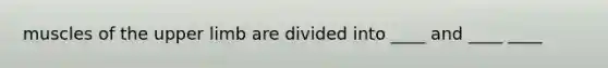 muscles of the upper limb are divided into ____ and ____ ____