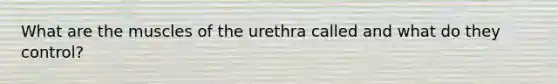 What are the muscles of the urethra called and what do they control?