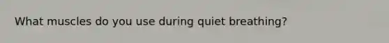 What muscles do you use during quiet breathing?