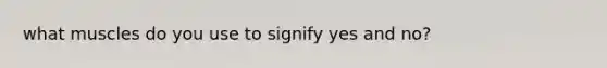 what muscles do you use to signify yes and no?